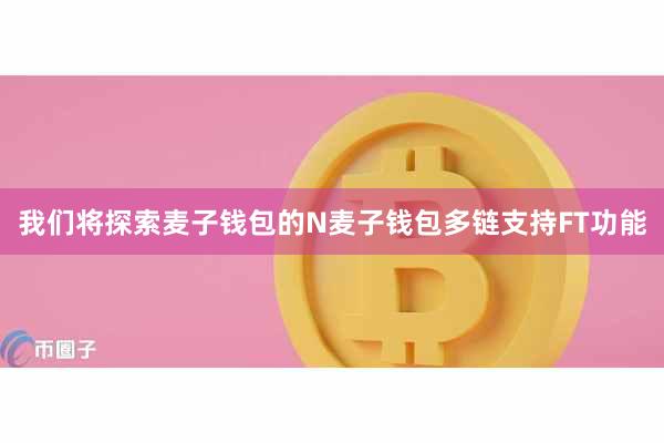 我们将探索麦子钱包的N麦子钱包多链支持FT功能