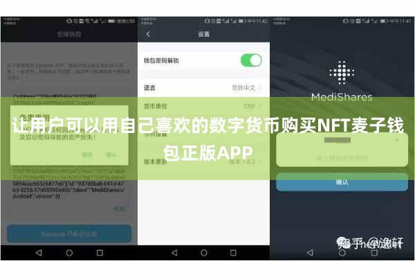 让用户可以用自己喜欢的数字货币购买NFT麦子钱包正版APP