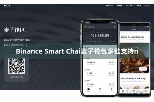 Binance Smart Chai麦子钱包多链支持n