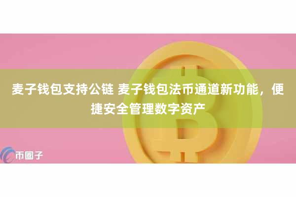 麦子钱包支持公链 麦子钱包法币通道新功能，便捷安全管理数字资产