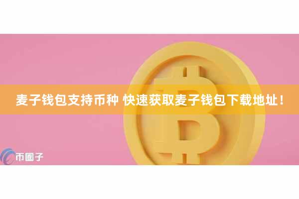 麦子钱包支持币种 快速获取麦子钱包下载地址！