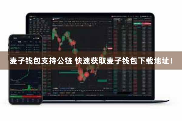 麦子钱包支持公链 快速获取麦子钱包下载地址！