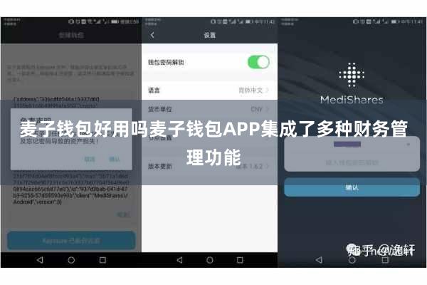 麦子钱包好用吗麦子钱包APP集成了多种财务管理功能