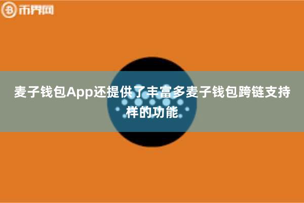 麦子钱包App还提供了丰富多麦子钱包跨链支持样的功能