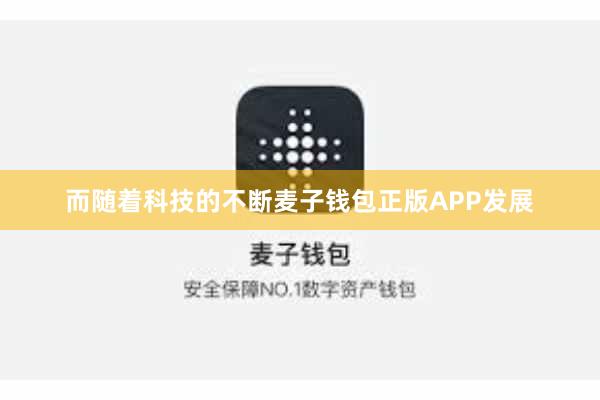 而随着科技的不断麦子钱包正版APP发展