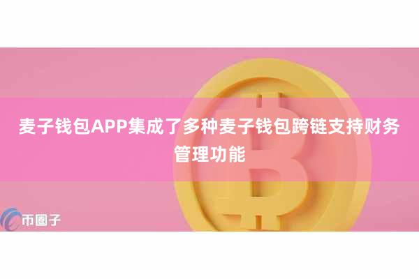 麦子钱包APP集成了多种麦子钱包跨链支持财务管理功能