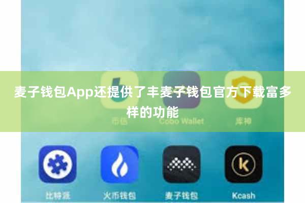 麦子钱包App还提供了丰麦子钱包官方下载富多样的功能