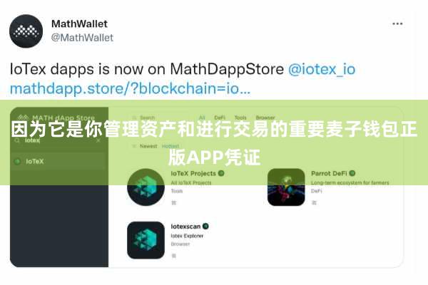 因为它是你管理资产和进行交易的重要麦子钱包正版APP凭证
