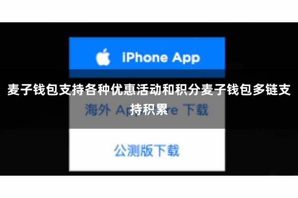 麦子钱包支持各种优惠活动和积分麦子钱包多链支持积累