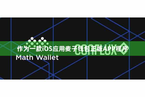 作为一款iOS应用麦子钱包正版APP程序