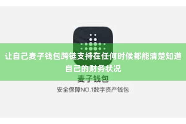 让自己麦子钱包跨链支持在任何时候都能清楚知道自己的财务状况
