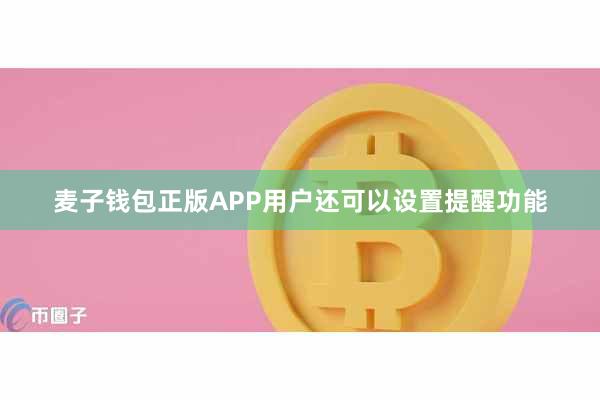 麦子钱包正版APP用户还可以设置提醒功能