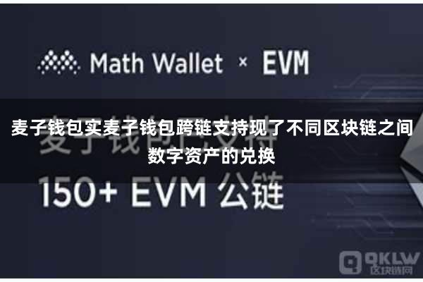 麦子钱包实麦子钱包跨链支持现了不同区块链之间数字资产的兑换