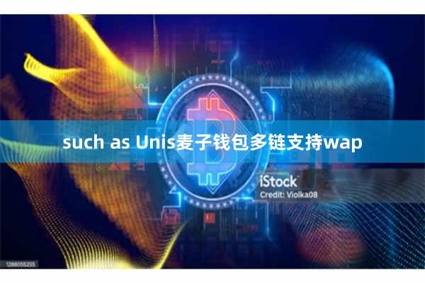 such as Unis麦子钱包多链支持wap