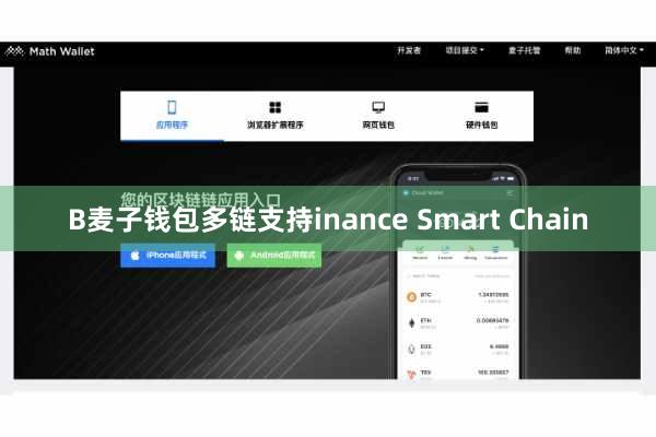 B麦子钱包多链支持inance Smart Chain
