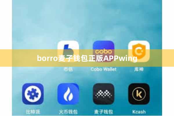 borro麦子钱包正版APPwing