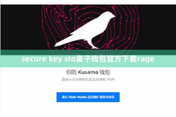 secure key sto麦子钱包官方下载rage