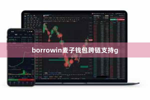 borrowin麦子钱包跨链支持g