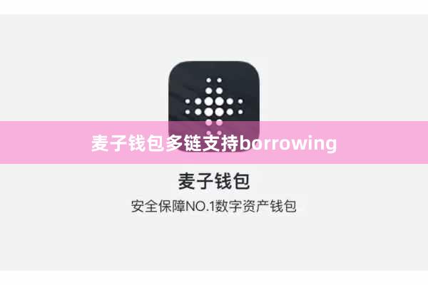 麦子钱包多链支持borrowing