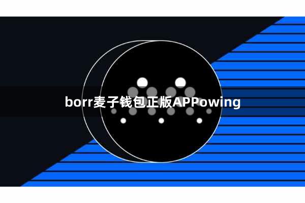 borr麦子钱包正版APPowing