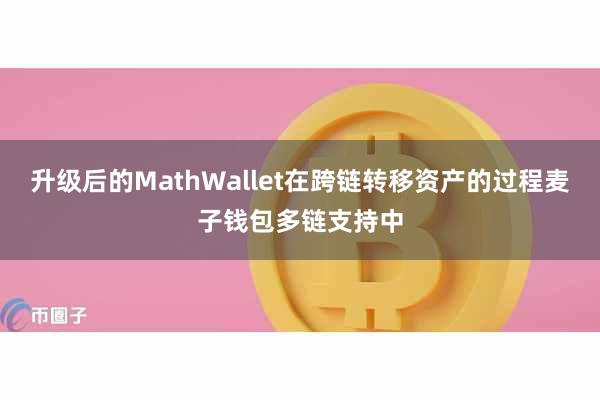 升级后的MathWallet在跨链转移资产的过程麦子钱包多链支持中