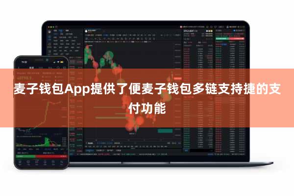 麦子钱包App提供了便麦子钱包多链支持捷的支付功能