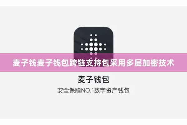 麦子钱麦子钱包跨链支持包采用多层加密技术