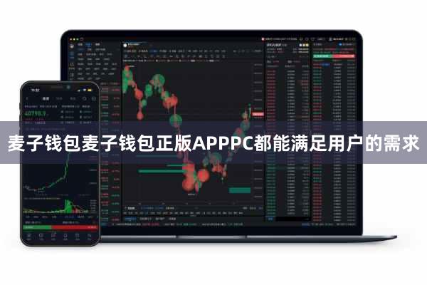 麦子钱包麦子钱包正版APPPC都能满足用户的需求