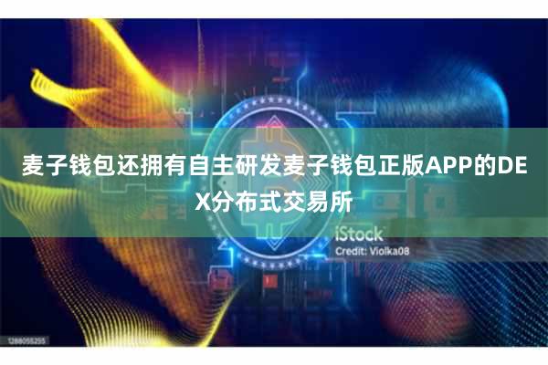 麦子钱包还拥有自主研发麦子钱包正版APP的DEX分布式交易所