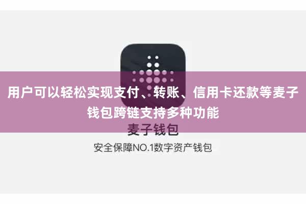 用户可以轻松实现支付、转账、信用卡还款等麦子钱包跨链支持多种功能