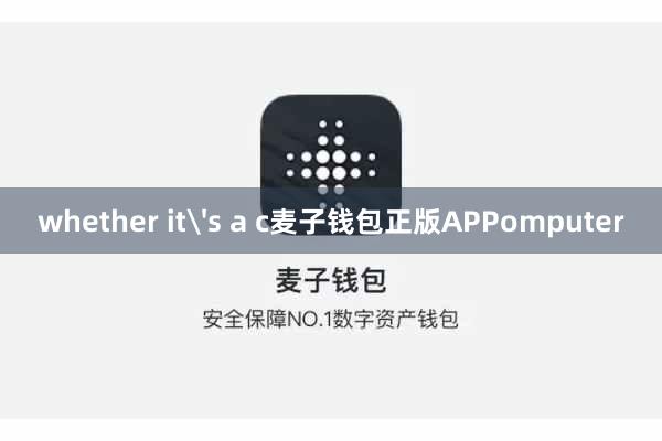whether it's a c麦子钱包正版APPomputer